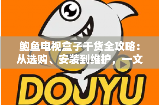 鲍鱼电视盒子干货全攻略：从选购、安装到维护，一文读懂智能电视盒子