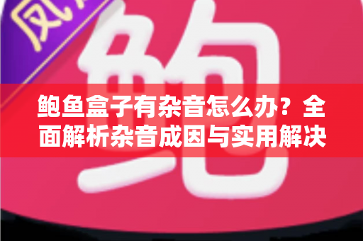 鲍鱼盒子有杂音怎么办？全面解析杂音成因与实用解决方法指南