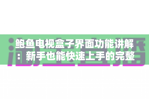 鲍鱼电视盒子界面功能讲解：新手也能快速上手的完整操作指南