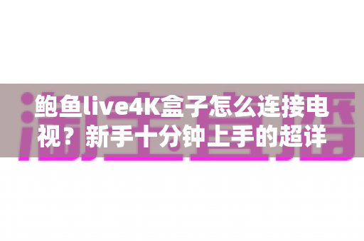 鲍鱼live4K盒子怎么连接电视?新手十分钟上手的超详细连接教程 鲍鱼live4K盒子怎么连接电视?新手十分钟上手的超详细连接教程