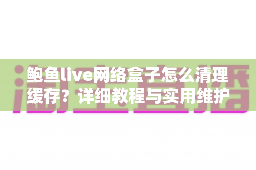 鲍鱼live网络盒子怎么清理缓存?详细教程与实用维护技巧全攻略 鲍鱼live网络盒子怎么清理缓存?详细教程与实用维护技巧全攻略