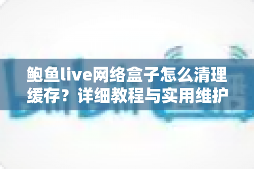 鲍鱼live网络盒子怎么清理缓存？详细教程与实用维护技巧全攻略
