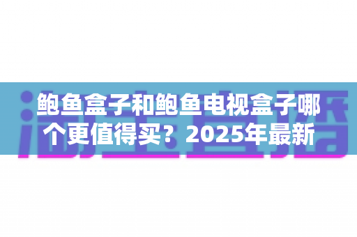 鲍鱼盒子和鲍鱼电视盒子哪个更值得买？2025年最新选购指南与深度对比