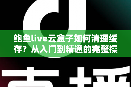 鲍鱼live云盒子如何清理缓存？从入门到精通的完整操作指南