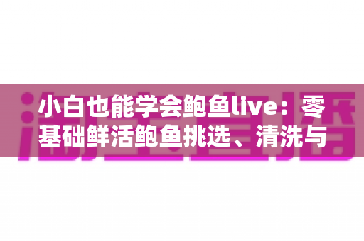小白也能学会鲍鱼live:零基础鲜活鲍鱼挑选、清洗与烹饪全攻略 小白也能学会鲍鱼live:零基础鲜活鲍鱼挑选、清洗与烹饪全攻略