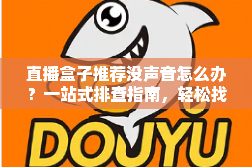 直播盒子推荐没声音怎么办？一站式排查指南，轻松找回清晰音效