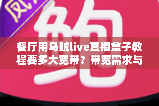 餐厅用乌贼live直播盒子教程要多大宽带?带宽需求与搭建指南全解析 餐厅用乌贼live直播盒子教程要多大宽带?带宽需求与搭建指南全解析