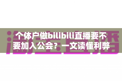 个体户做bilibili直播要不要加入公会?一文读懂利弊、合同陷阱与自播成长路径 个体户做bilibili直播要不要加入公会?一文读懂利弊、合同陷阱与自播成长路径