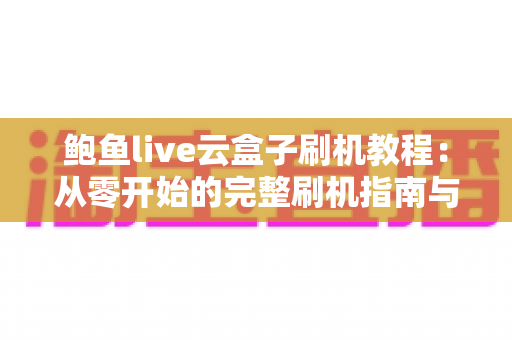 鲍鱼live云盒子刷机教程：从零开始的完整刷机指南与避坑手册