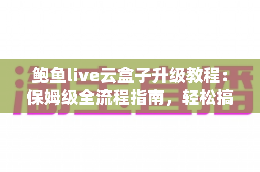 鲍鱼live云盒子升级教程：保姆级全流程指南，轻松搞定系统更新与常见故障排查