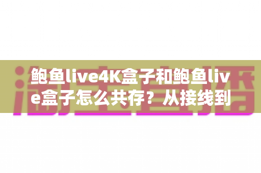 鲍鱼live4K盒子和鲍鱼live盒子怎么共存？从接线到联网的完整共存指南