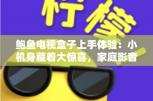鲍鱼电视盒子上手体验:小机身藏着大惊喜,家庭影音升级的实惠之选 鲍鱼电视盒子上手体验:小机身藏着大惊喜,家庭影音升级的实惠之选