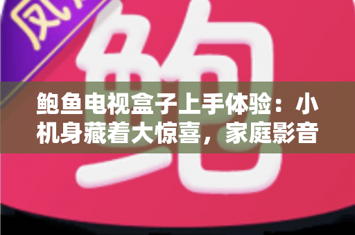 鲍鱼电视盒子上手体验：小机身藏着大惊喜，家庭影音升级的实惠之选