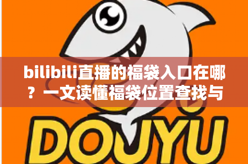 bilibili直播的福袋入口在哪？一文读懂福袋位置查找与抽奖参与全攻略（新手必看指南）