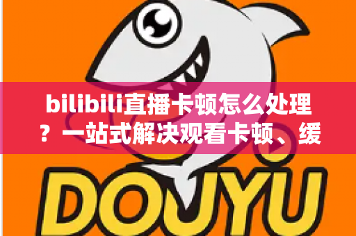 bilibili直播卡顿怎么处理？一站式解决观看卡顿、缓冲与掉帧的实用指南