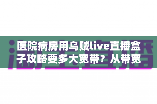 医院病房用乌贼live直播盒子攻略要多大宽带?从带宽选择到开播设置的完整指南 医院病房用乌贼live直播盒子攻略要多大宽带?从带宽选择到开播设置的完整指南