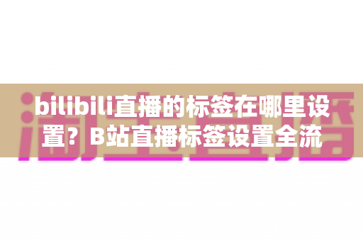 bilibili直播的标签在哪里设置?B站直播标签设置全流程详解与运营技巧指南 bilibili直播的标签在哪里设置?B站直播标签设置全流程详解与运营技巧指南