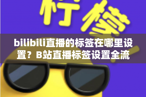 bilibili直播的标签在哪里设置?B站直播标签设置全流程详解与运营技巧指南 bilibili直播的标签在哪里设置?B站直播标签设置全流程详解与运营技巧指南