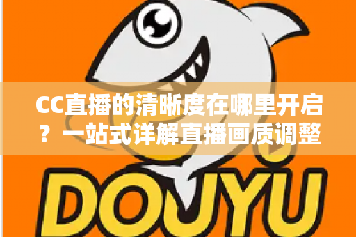 CC直播的清晰度在哪里开启？一站式详解直播画质调整方法与观看体验优化全攻略