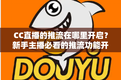 CC直播的推流在哪里开启?新手主播必看的推流功能开启与配置全攻略 CC直播的推流在哪里开启?新手主播必看的推流功能开启与配置全攻略