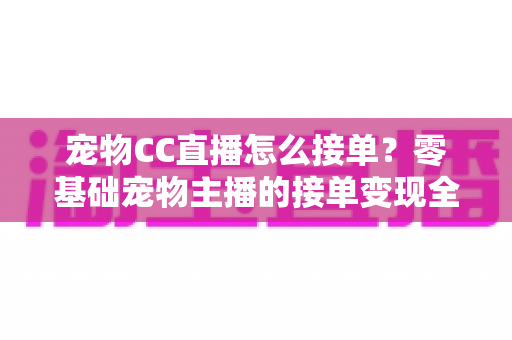 宠物CC直播怎么接单?零基础宠物主播的接单变现全攻略 宠物CC直播怎么接单?零基础宠物主播的接单变现全攻略