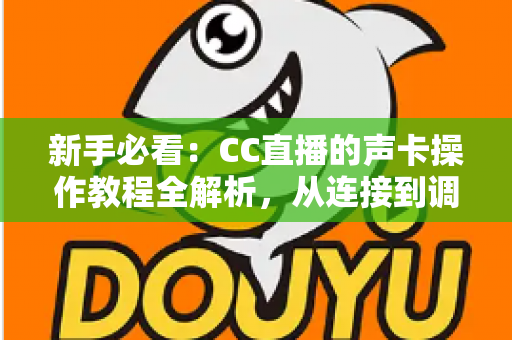 新手必看：CC直播的声卡操作教程全解析，从连接到调试一步到位，轻松打造专业级直播间音效