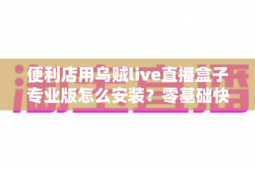 便利店用乌贼live直播盒子专业版怎么安装？零基础快速上手的完整安装教程与实战指南