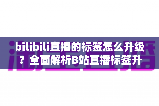 bilibili直播的标签怎么升级?全面解析B站直播标签升级技巧与运营指南 bilibili直播的标签怎么升级?全面解析B站直播标签升级技巧与运营指南