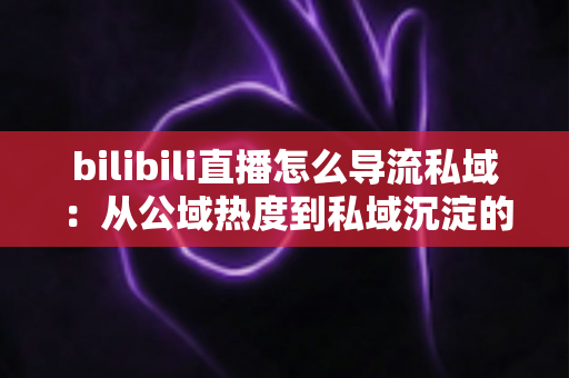 bilibili直播怎么导流私域:从公域热度到私域沉淀的完整实战指南 bilibili直播怎么导流私域:从公域热度到私域沉淀的完整实战指南