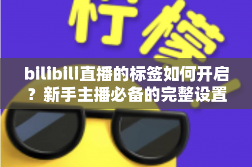 bilibili直播的标签如何开启？新手主播必备的完整设置攻略与流量优化指南