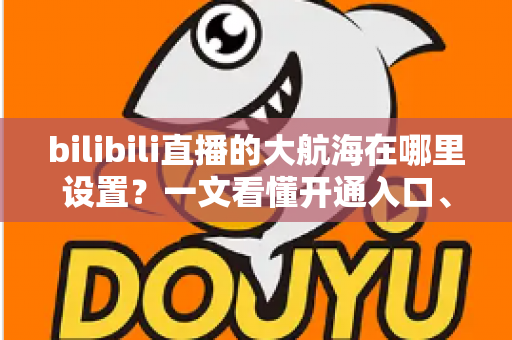 bilibili直播的大航海在哪里设置？一文看懂开通入口、权限条件与常见问题