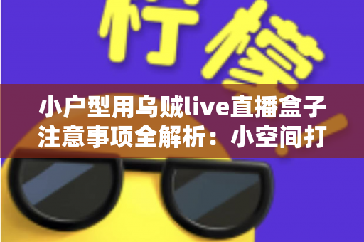 小户型用乌贼live直播盒子注意事项全解析：小空间打造稳定专业直播间的实用避坑指南