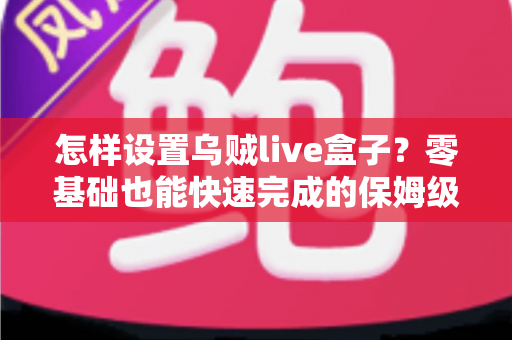 怎样设置乌贼live盒子？零基础也能快速完成的保姆级配置教程