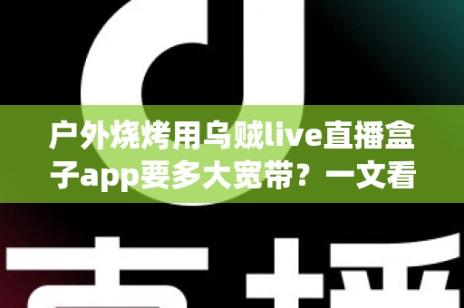 户外烧烤用乌贼live直播盒子app要多大宽带?一文看懂户外直播带宽需求与稳定推流全攻略 户外烧烤用乌贼live直播盒子app要多大宽带?一文看懂户外直播带宽需求与稳定推流全攻略