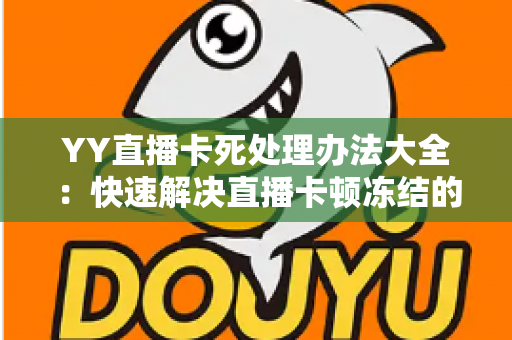YY直播卡死处理办法大全：快速解决直播卡顿冻结的实用指南