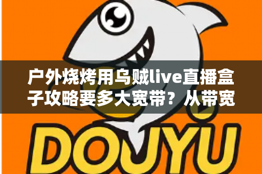 户外烧烤用乌贼live直播盒子攻略要多大宽带？从带宽配置到搭建流程的户外直播完全指南