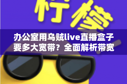 办公室用乌贼live直播盒子要多大宽带？全面解析带宽需求与配置指南