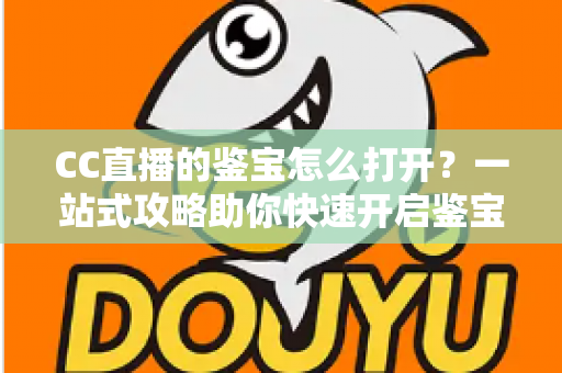 CC直播的鉴宝怎么打开？一站式攻略助你快速开启鉴宝之旅