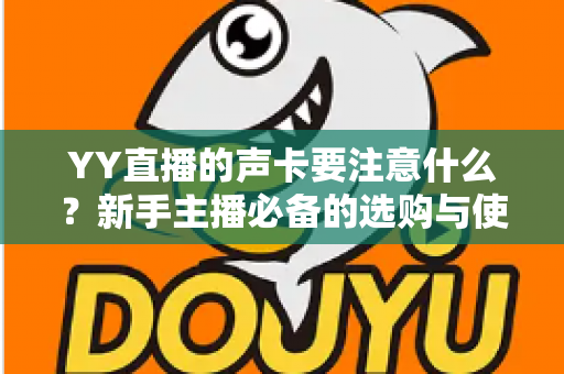 YY直播的声卡要注意什么？新手主播必备的选购与使用全攻略