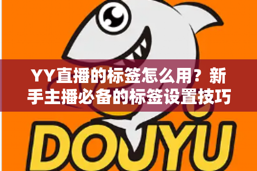 YY直播的标签怎么用？新手主播必备的标签设置技巧与实战运营指南