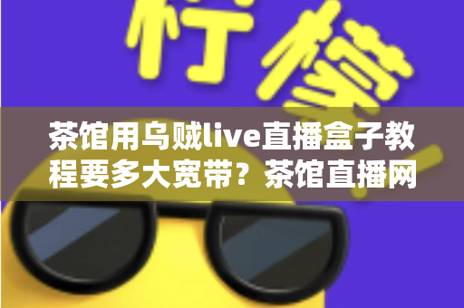 茶馆用乌贼live直播盒子教程要多大宽带?茶馆直播网络配置与带宽选择完全指南 茶馆用乌贼live直播盒子教程要多大宽带?茶馆直播网络配置与带宽选择完全指南