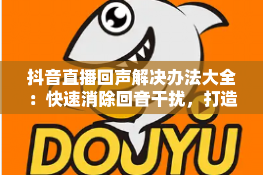抖音直播回声解决办法大全：快速消除回音干扰，打造清晰流畅直播体验的实用指南