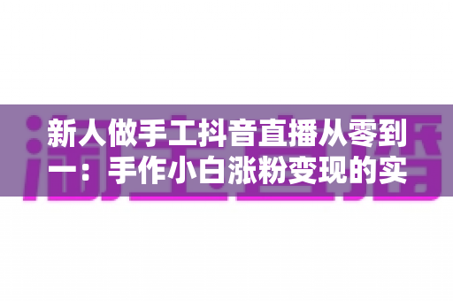 新人做手工抖音直播从零到一：手作小白涨粉变现的实战全攻略