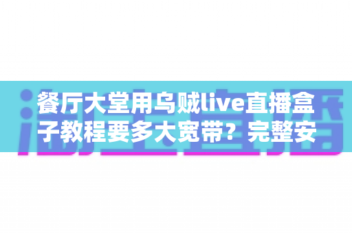 餐厅大堂用乌贼live直播盒子教程要多大宽带？完整安装配置与带宽需求指南