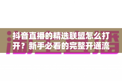 抖音直播的精选联盟怎么打开?新手必看的完整开通流程与实战指南 抖音直播的精选联盟怎么打开?新手必看的完整开通流程与实战指南