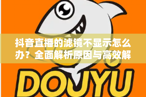 抖音直播的滤镜不显示怎么办?全面解析原因与高效解决方案 抖音直播的滤镜不显示怎么办?全面解析原因与高效解决方案