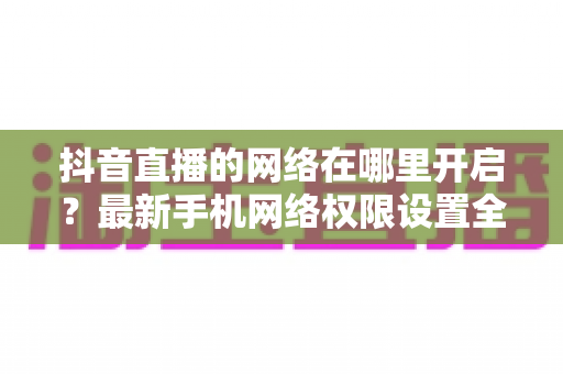 抖音直播的网络在哪里开启?最新手机网络权限设置全教程,助你轻松开播不卡顿 抖音直播的网络在哪里开启?最新手机网络权限设置全教程,助你轻松开播不卡顿