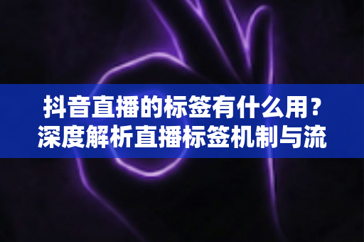 抖音直播的标签有什么用?深度解析直播标签机制与流量增长实战指南 抖音直播的标签有什么用?深度解析直播标签机制与流量增长实战指南