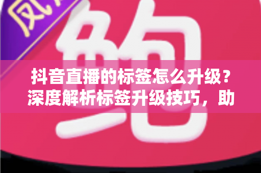 抖音直播的标签怎么升级?深度解析标签升级技巧,助你直播间精准涨流 抖音直播的标签怎么升级?深度解析标签升级技巧,助你直播间精准涨流