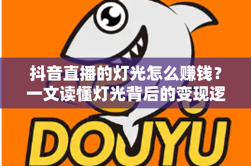 抖音直播的灯光怎么赚钱?一文读懂灯光背后的变现逻辑与实操方法 抖音直播的灯光怎么赚钱?一文读懂灯光背后的变现逻辑与实操方法